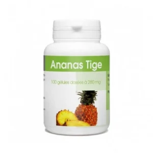 gélules d'ananas tige - 100 gélules à 280 mg pour une santé optimisée